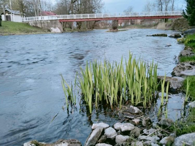 Lossi 8 Põltsamaa Maida Exterior foto